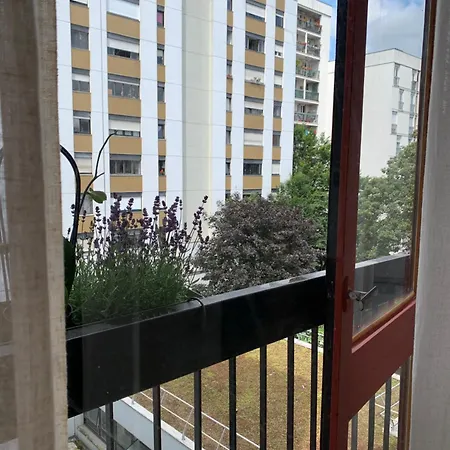 Un Cozy Au Coeur De