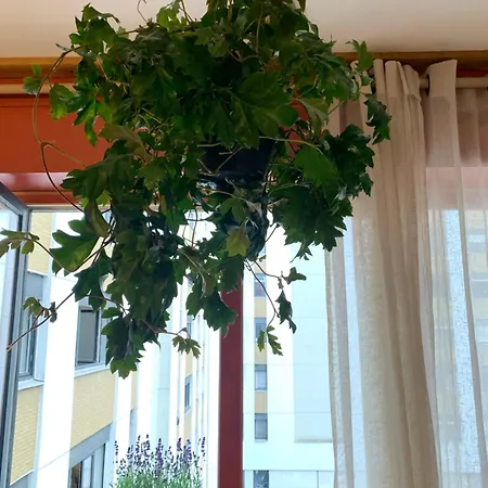 Apartment Un Cozy Au Coeur De *