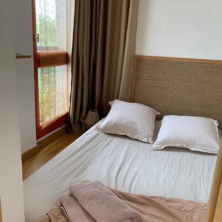 Un Cozy Au Coeur De Paris